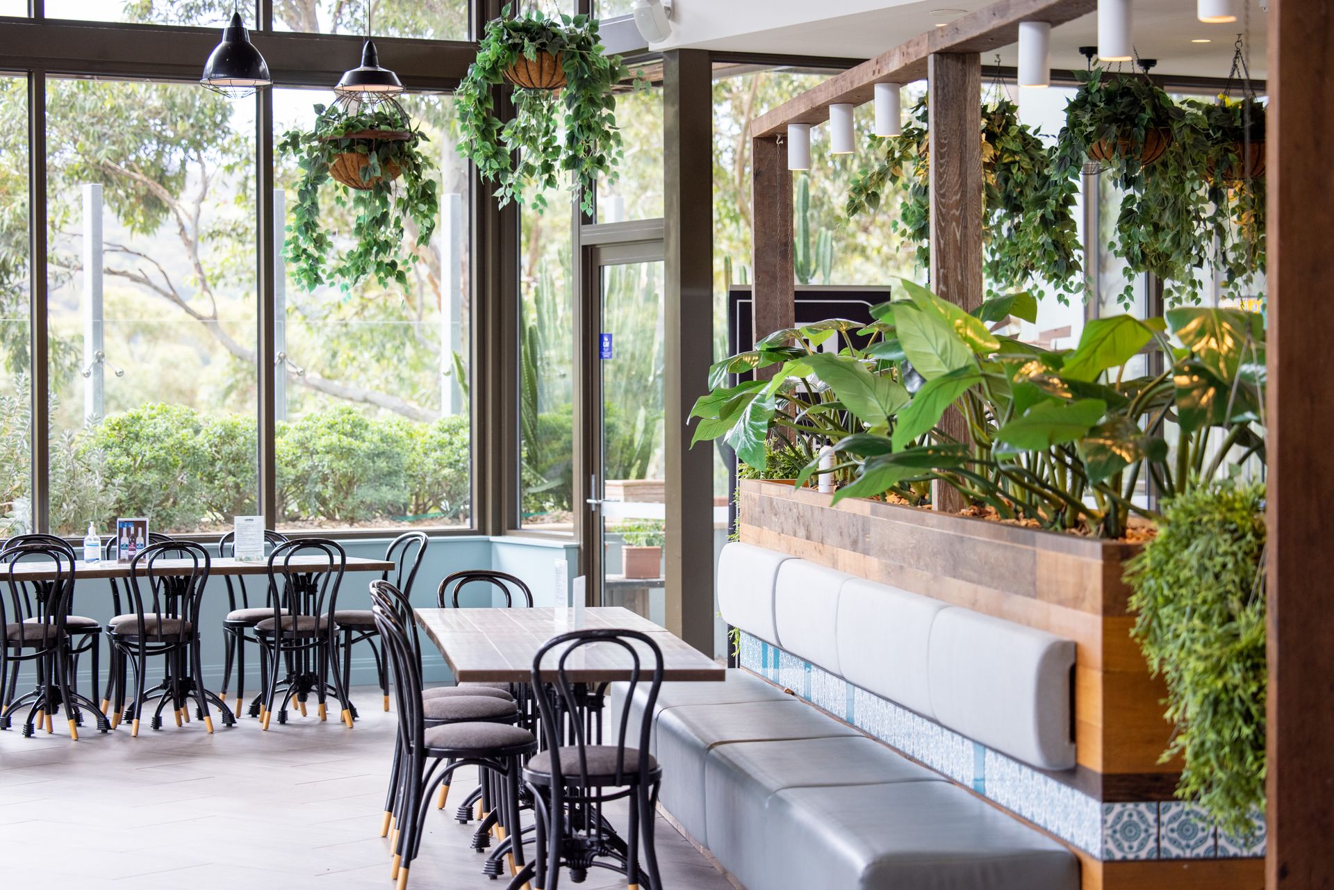 Indoor café event space with hanging plants and natural light