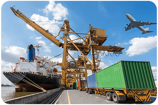 [[cms:companyname]] - Exportación