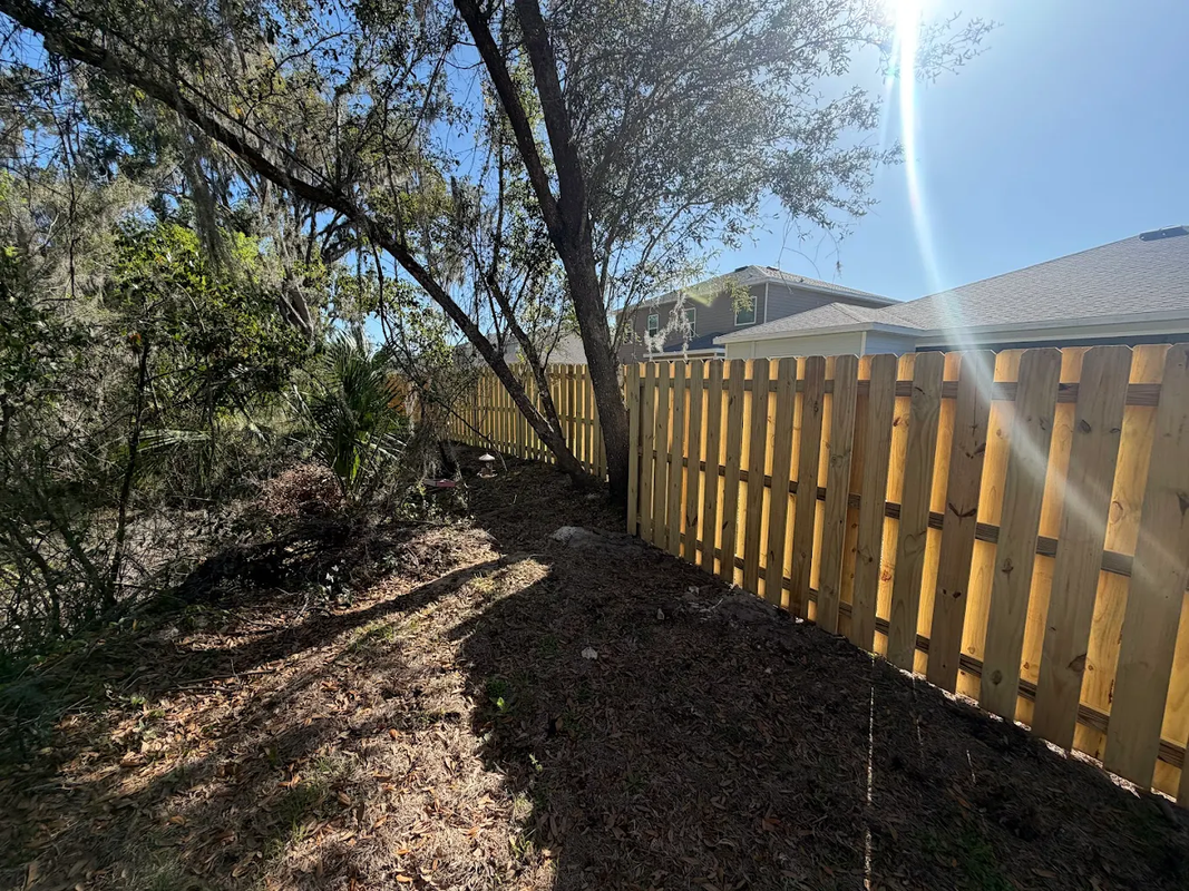 Sunlit dirt path beside a wooden fence and trees in a dry backyard