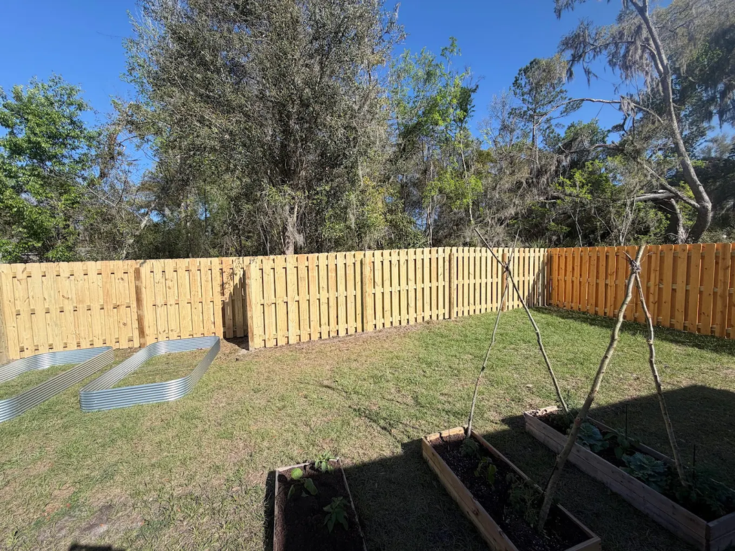 Backyard with a new wooden fence, grassy yard, and blue sky with trees in the background