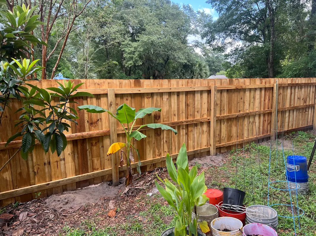 Wooden privacy fence in a lush backyard with young plants, potted flowers, and a blue bucket on the grass.