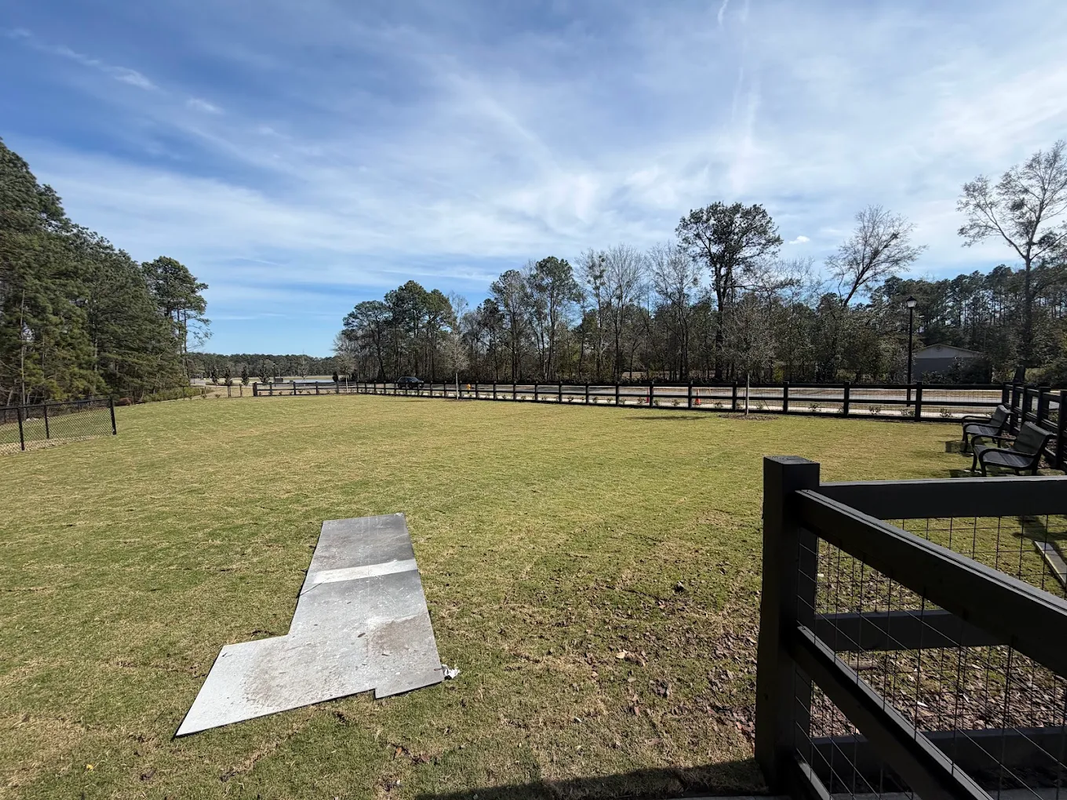 Open grassy field with trees, a blue sky, and a concrete path beside a black fence