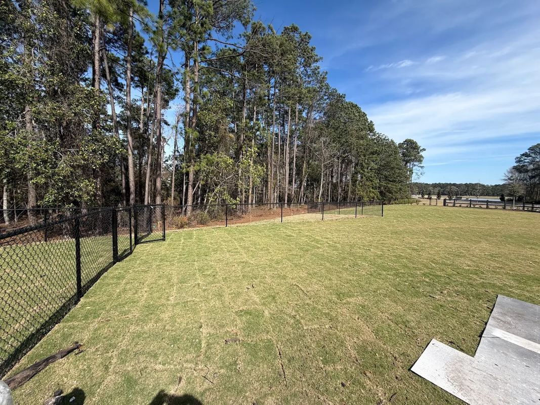 Grassy field beside a black fence and tall trees under a clear blue sky