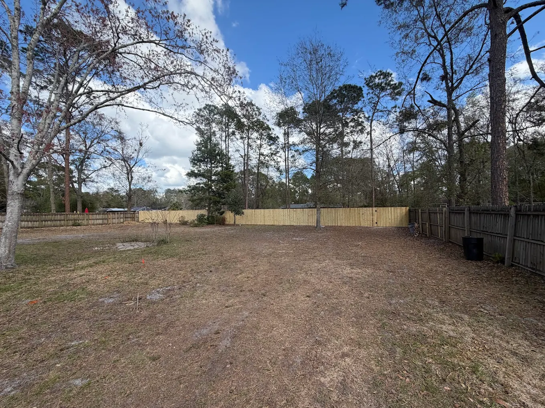 Wooded backyard with bare trees, a dirt clearing, and a wooden fence under a cloudy sky