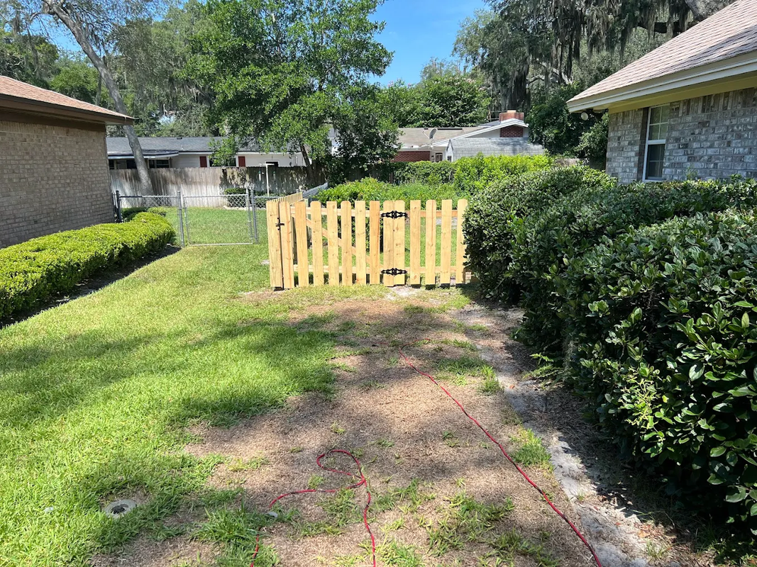 Backyard path leading to a small wooden gate between hedges and houses on a sunny day