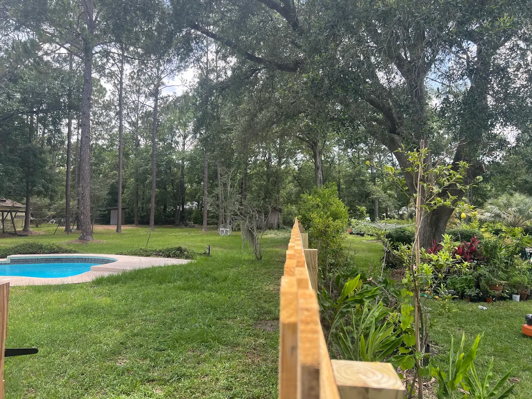 Backyard garden with a swimming pool, wooden fence, and tall trees in the background