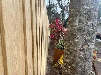 Wooden fence beside potted tropical plants and a tree trunk outdoors