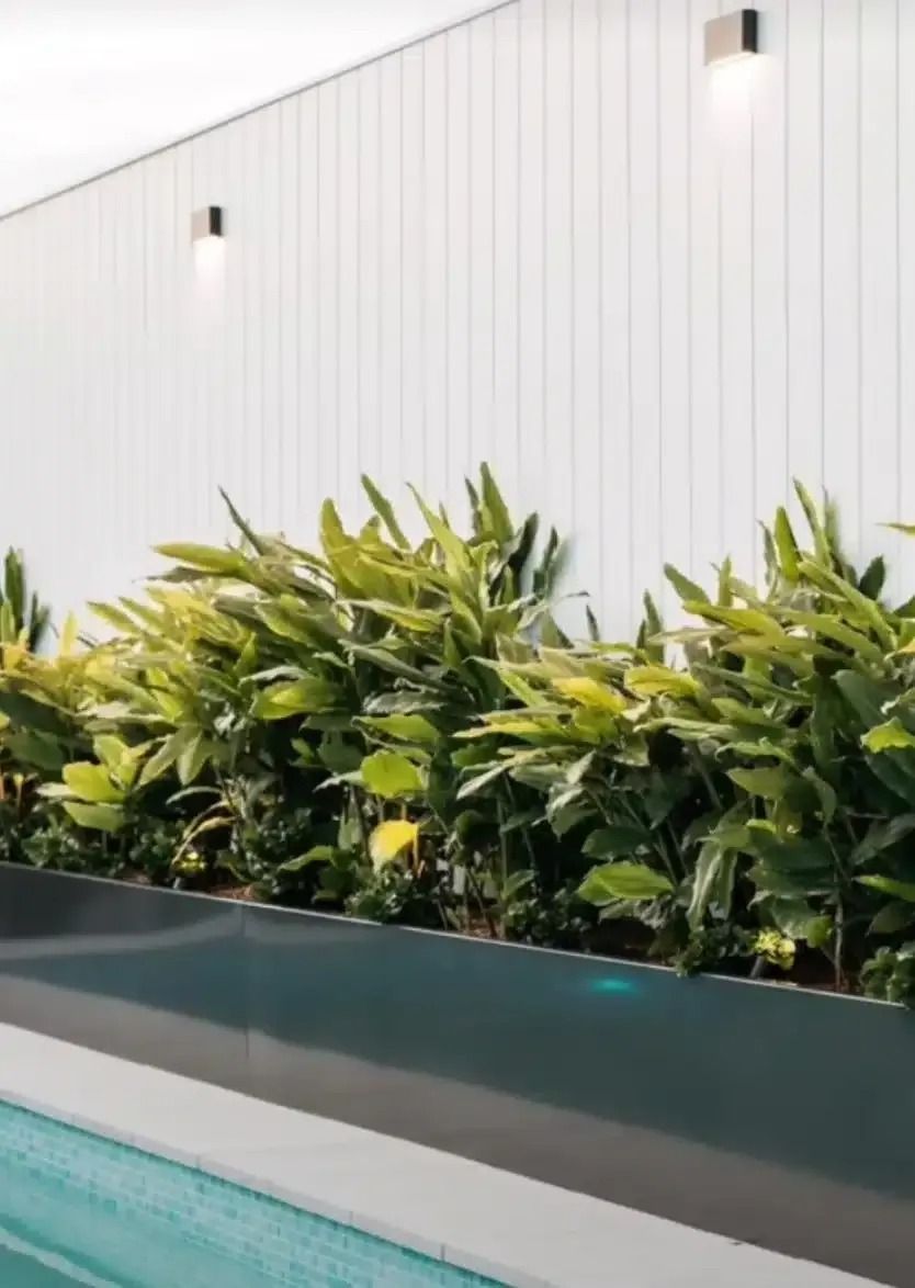Planter box with lush green plants against a white wall with two lights.