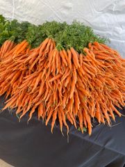 Bundles of fresh orange carrots with green tops on a black tablecloth