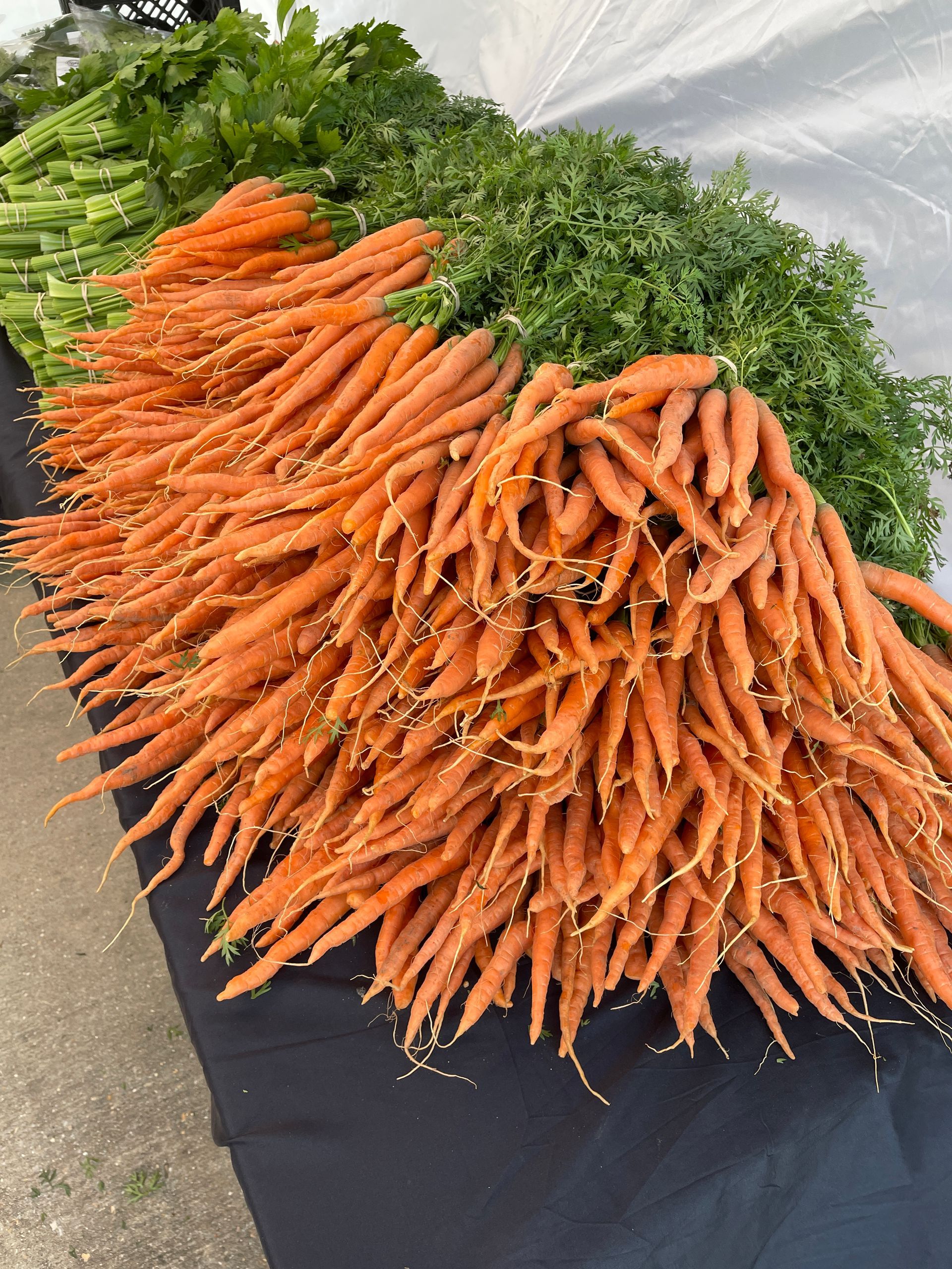 Pile of fresh orange carrots with green tops displayed on a black table outdoors