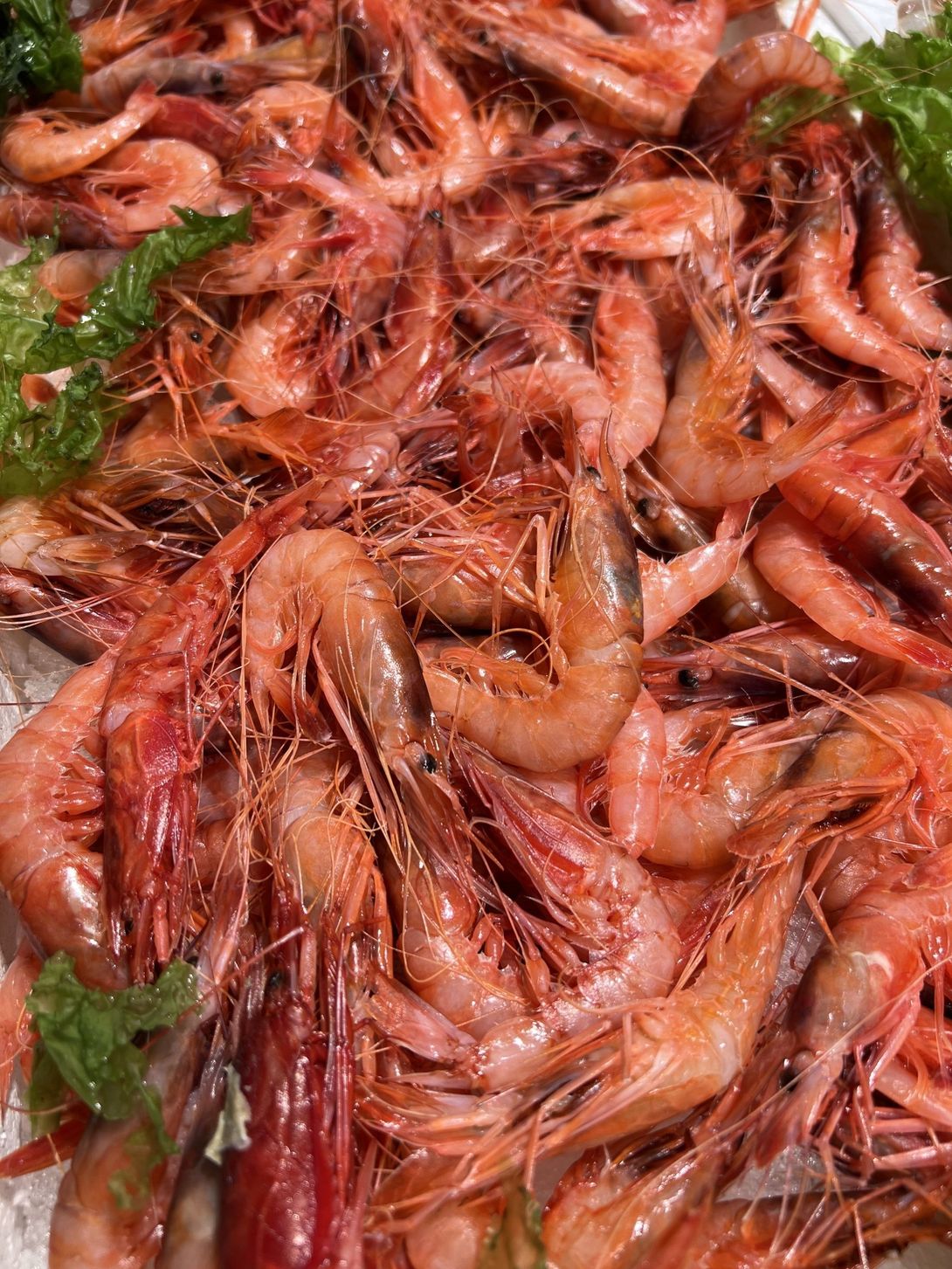 pesce fresco