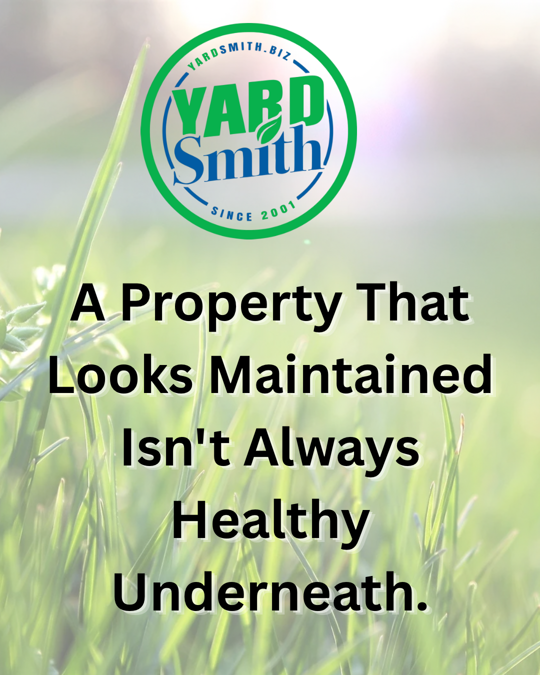 Yard Smith logo over grass with text: “A Property That Looks Maintained Isn’t Always Healthy Underneath.”