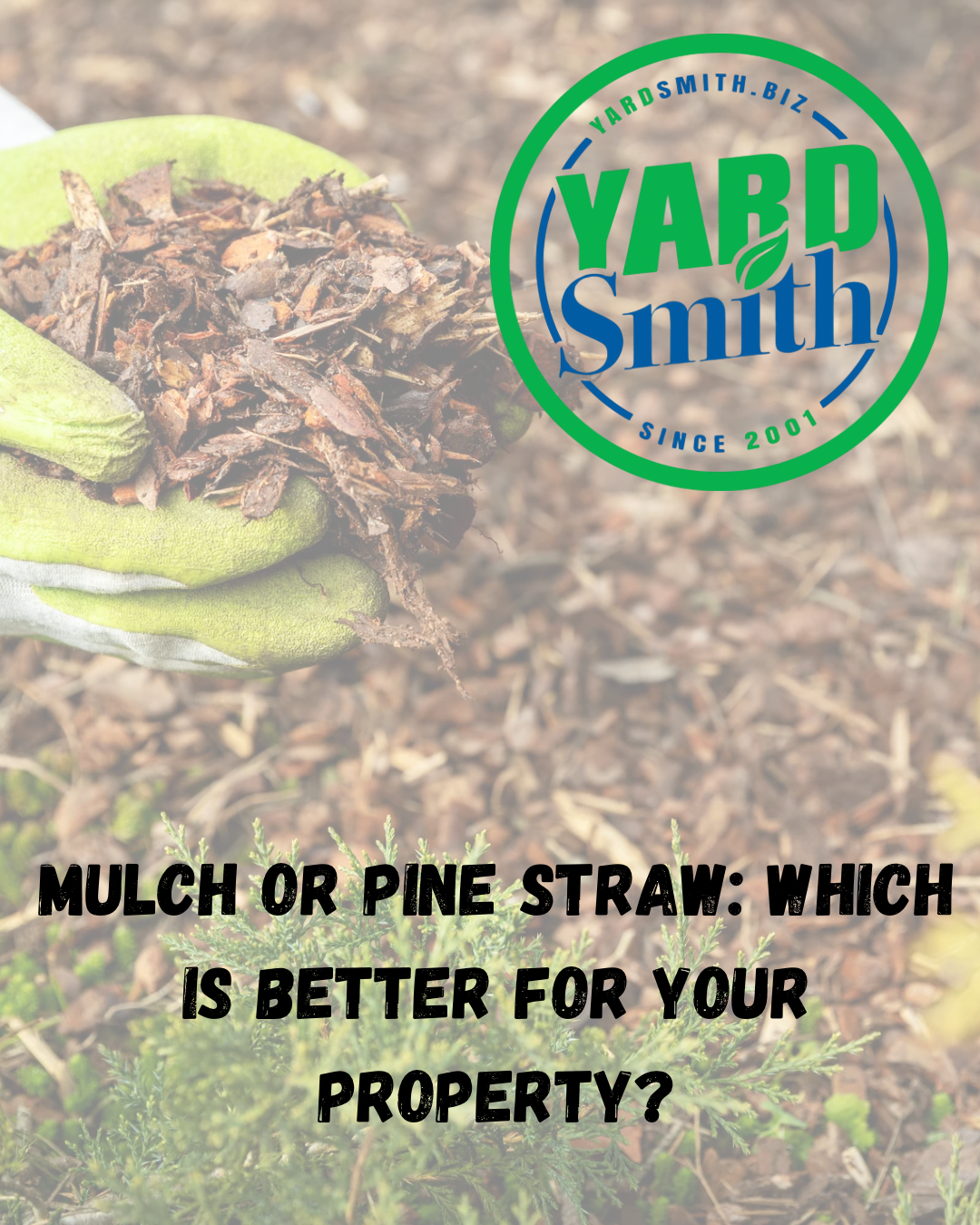Mulch and pine straw background with Yard Smith logo and text: “Mulch or pine straw: which is better for your property?”