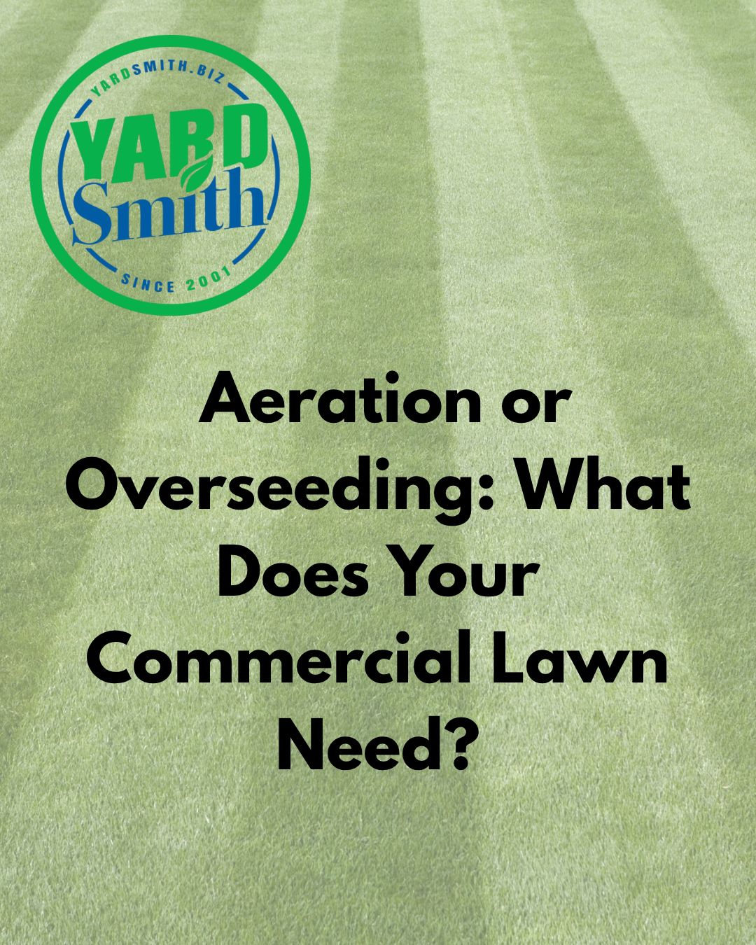 Green lawn graphic with logo and text: “Aeration or Overseeding: What Does Your Commercial Lawn Need?”