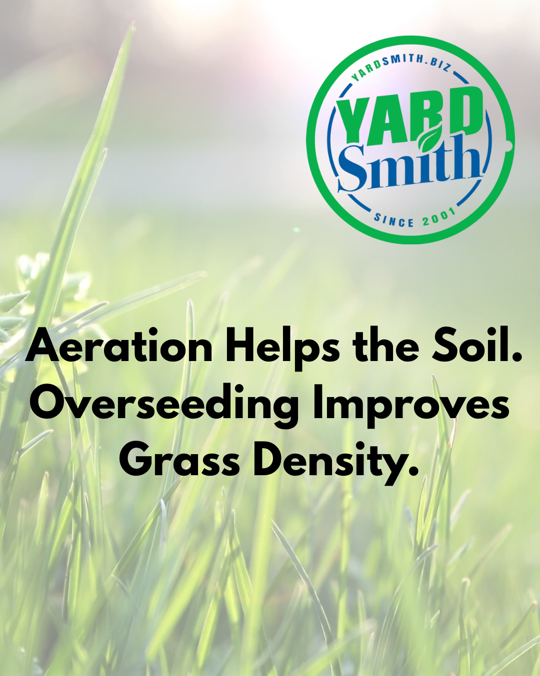 Lawn care ad with Yard Smith logo and text: “Aeration Helps the Soil. Overseeding Improves Grass Density.”