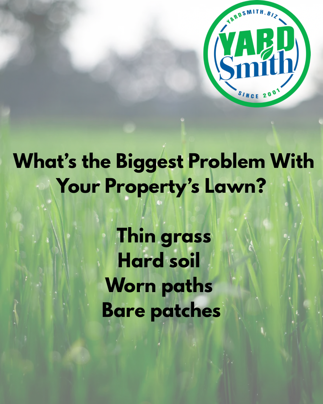 Yard Smith lawn ad with green grass and text: “What’s the Biggest Problem With Your Property’s Lawn?”
