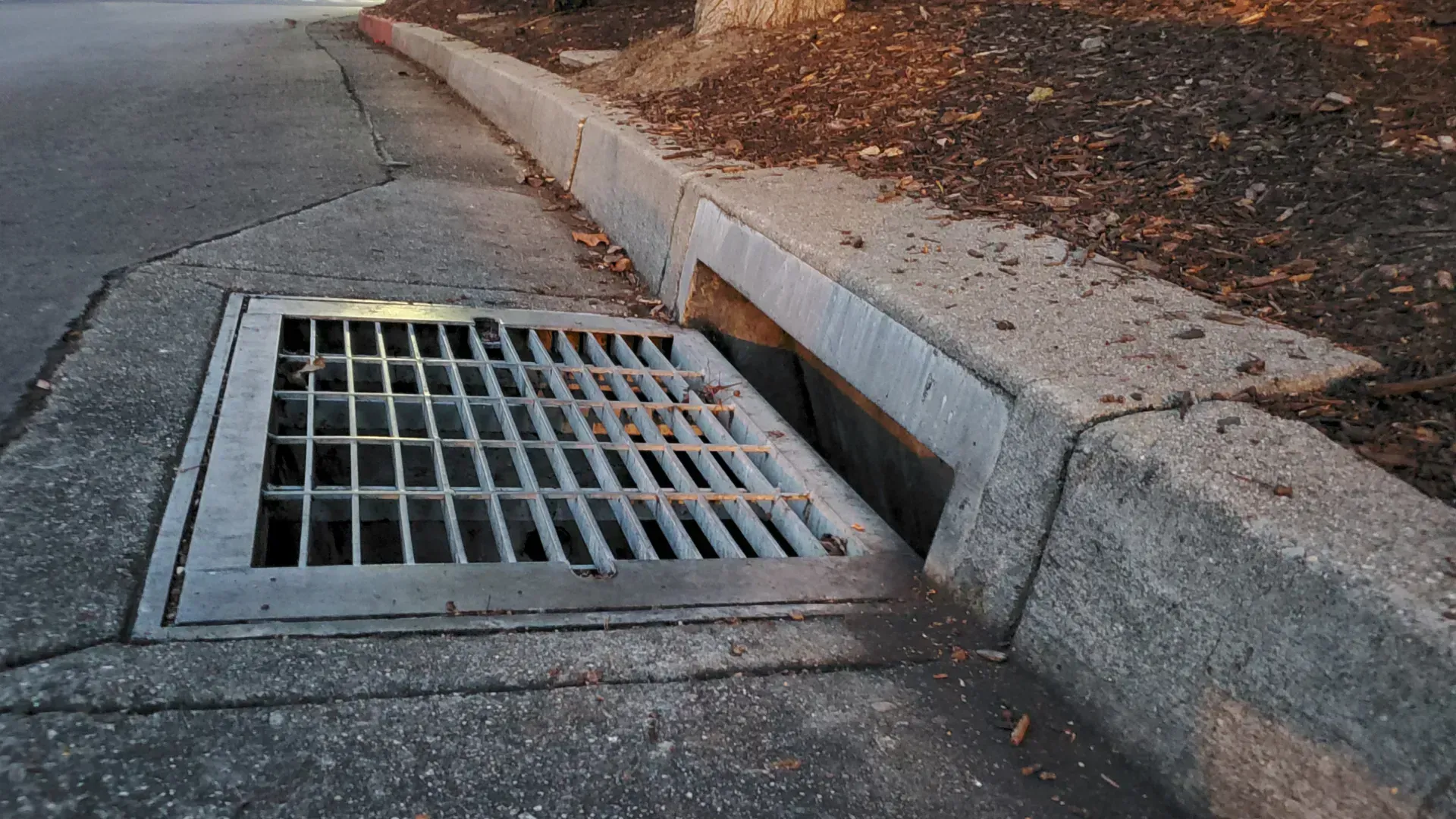 Street storm drain grate beside a curb with dry leaves on the sidewalk