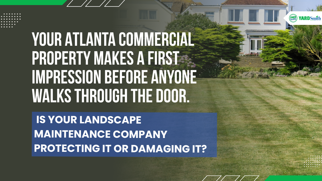 Commercial property lawn with large text about first impressions and landscape maintenance company