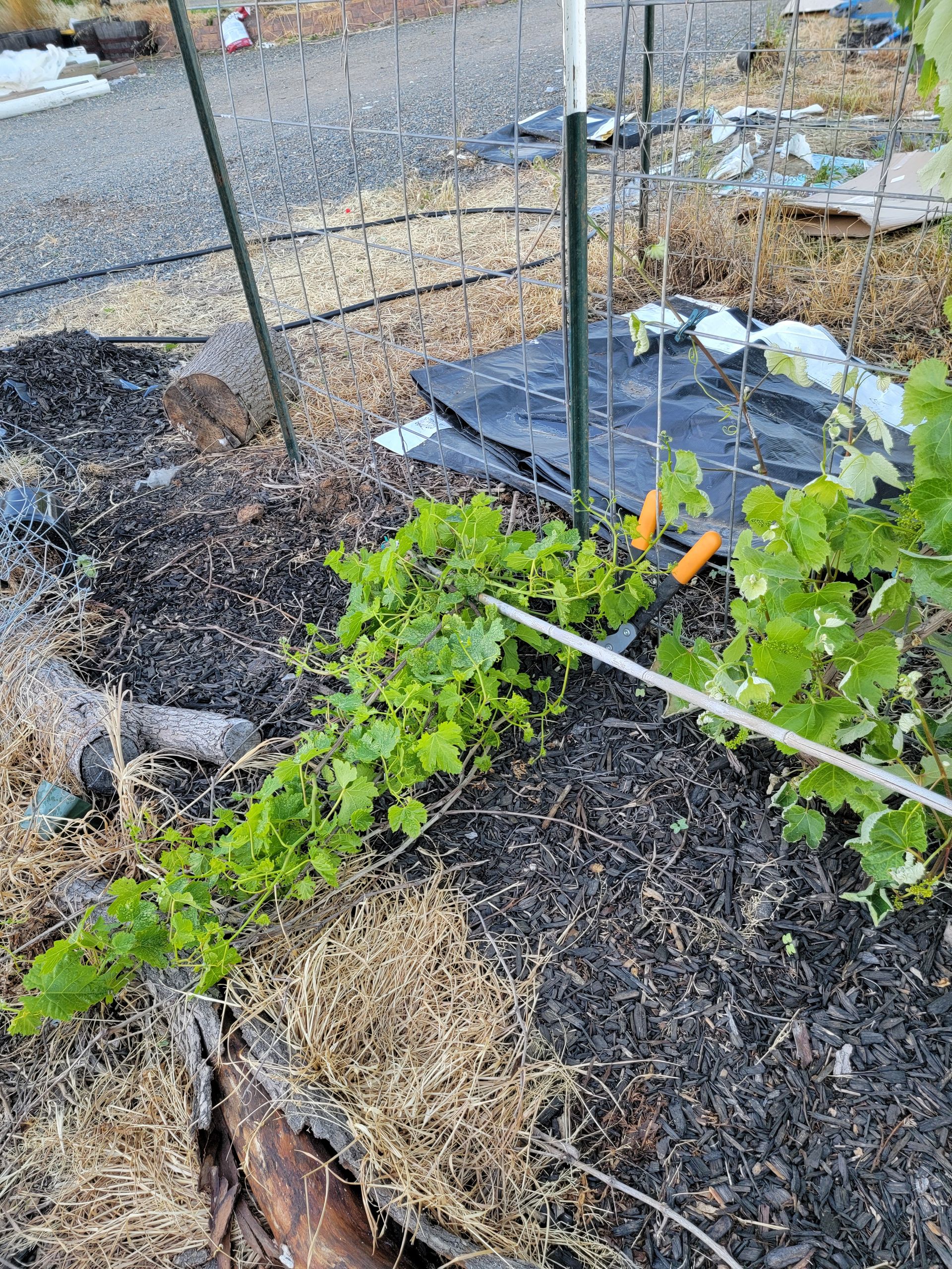 A group of children are raising their hands in the air in a classroom