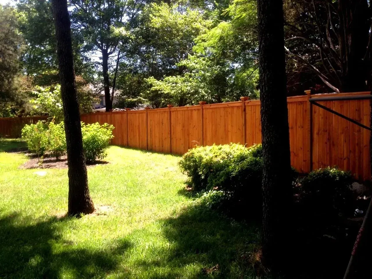 A wooden fence is surrounded by trees in a backyard.
