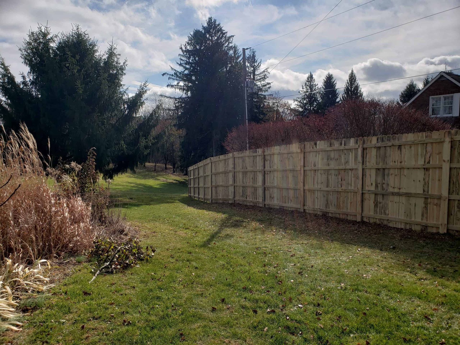 Grassy backyard path beside a wooden fence under a cloudy sky, with trees and shrubs.