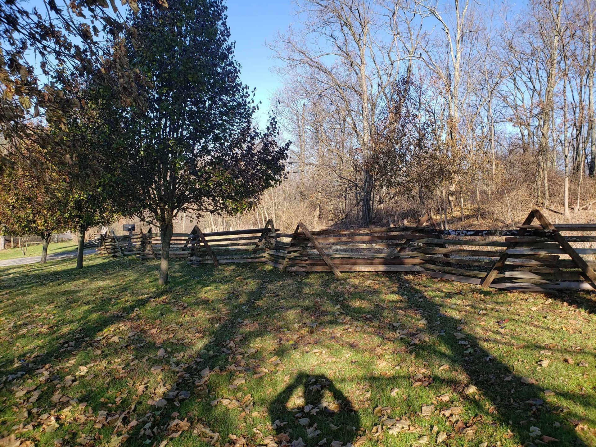 Wooden split-rail fence in a sunny grassy field with trees and long shadows
