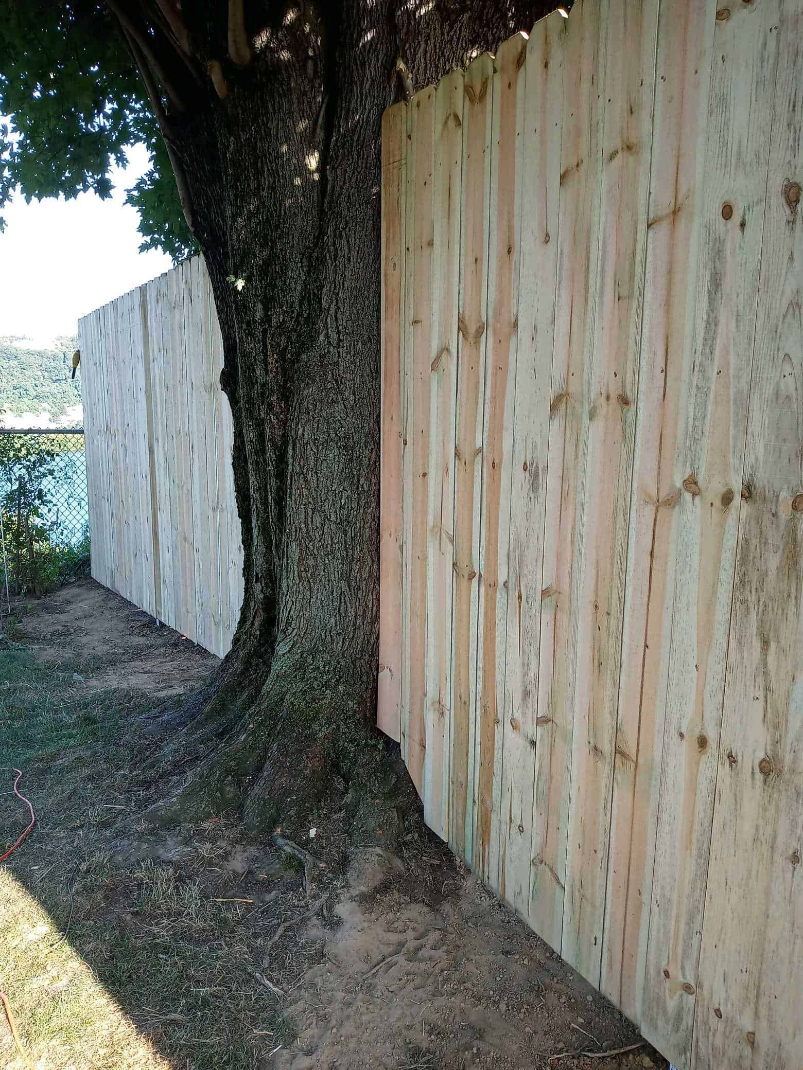 Wooden fence beside a large tree trunk along a shaded dirt path