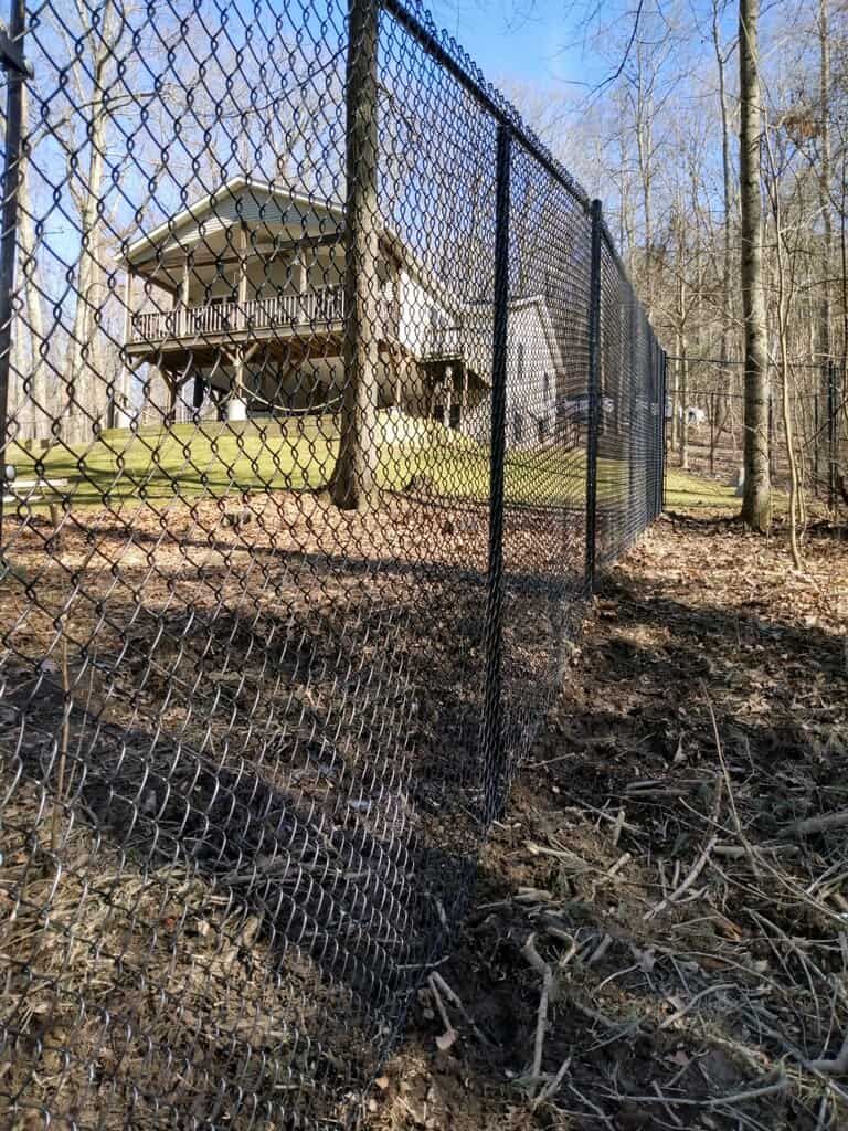 Tall chain-link fence in a wooded yard with a house in the background on a sunny day