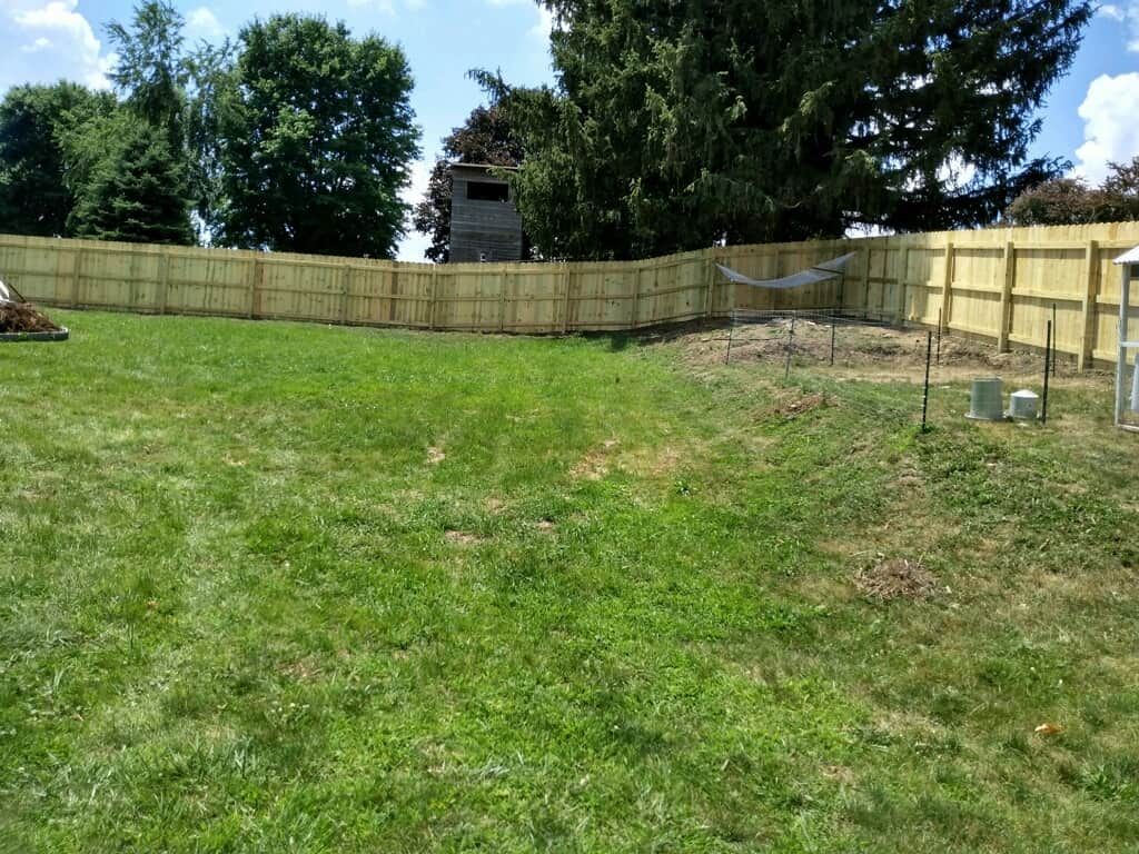 Grassy backyard with a wooden fence, trees, and a small shed in the distance
