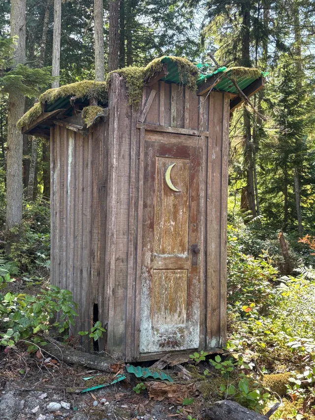 Old wooden outhouse with moon cutout on door, covered in moss, in a forest setting.