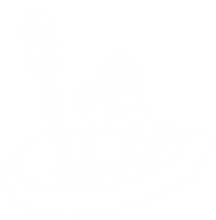 Blank white background.