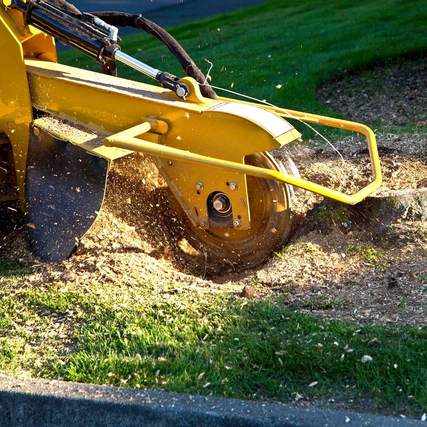 Removing the Tree Stump — Palatka, FL — Jacobs Tree Service & Stump Removal Removing the Tree Stump — Palatka, FL — Jacobs Tree Service & Stump Removal