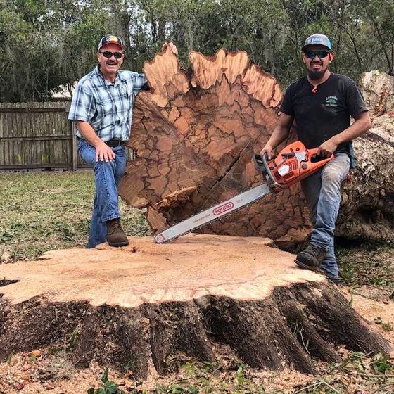 Oak tree removal — Palatka, FL — Jacobs Tree Service & Stump Removal