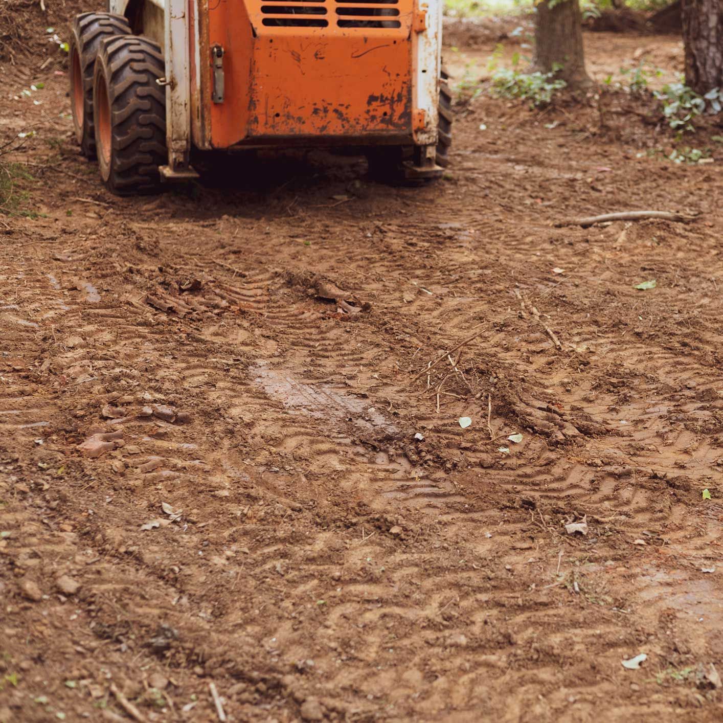 Land Clearing Service — Palatka, FL — Jacobs Tree Service & Stump Removal
