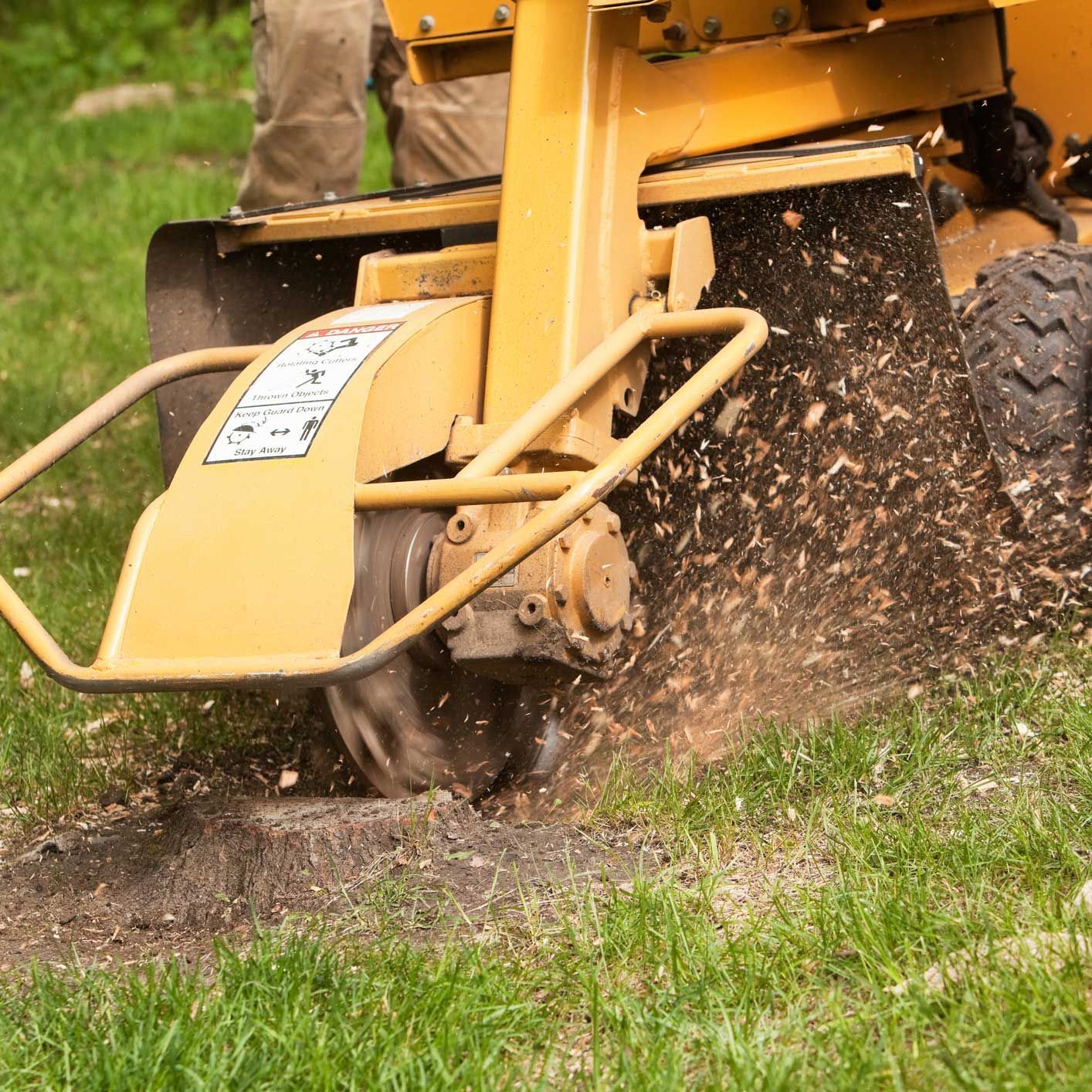 Stump Grinding Service — Palatka, FL — Jacobs Tree Service & Stump Removal Stump Grinding Service — Palatka, FL — Jacobs Tree Service & Stump Removal