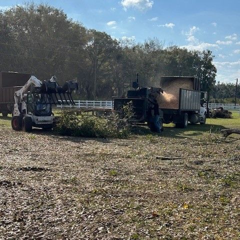 Trees in Residential Area — Palatka, FL — Jacobs Tree Service & Stump Removal