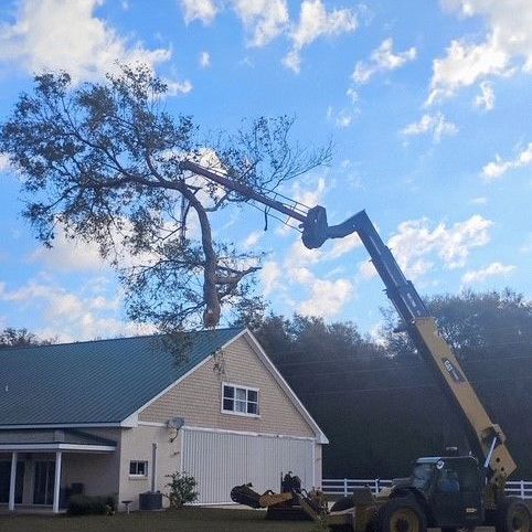 Tree Removal Service — Palatka, FL — Jacobs Tree Service & Stump Removal Tree Removal Service — Palatka, FL — Jacobs Tree Service & Stump Removal