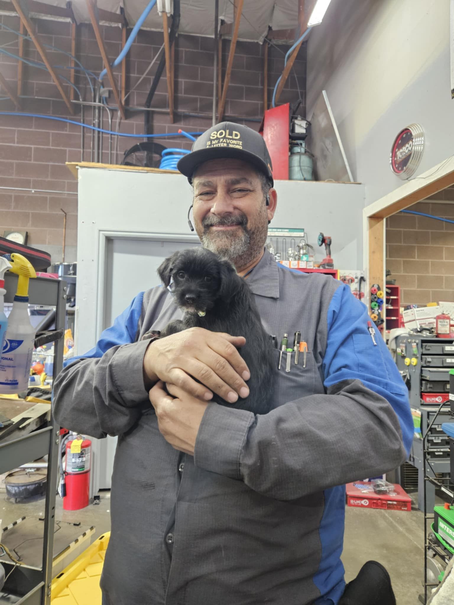 Team Member Holding a Small Dog | CT Auto Powered by Pete’s Autoworks