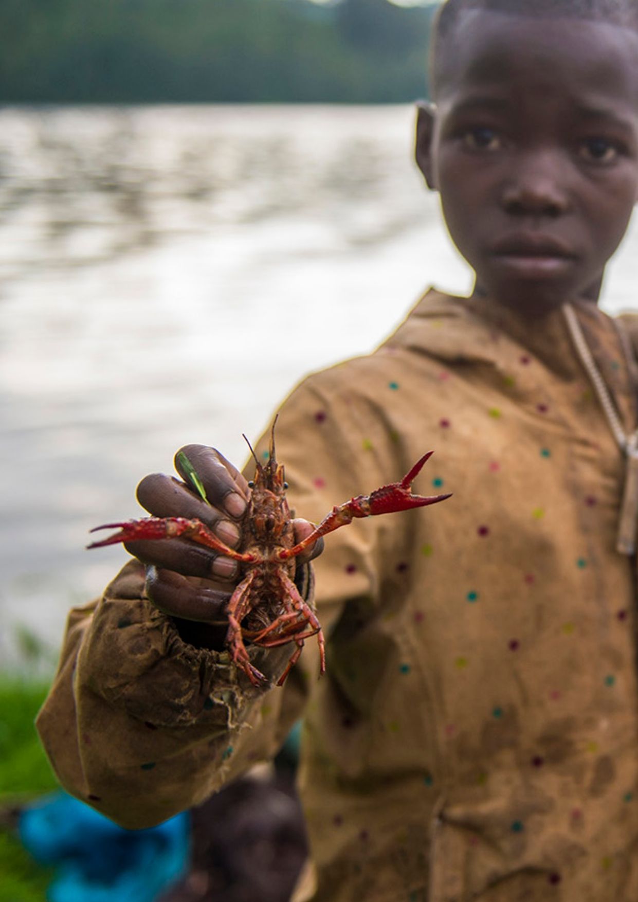 Garçon tenant une écrevisse rouge près d'un point d'eau.