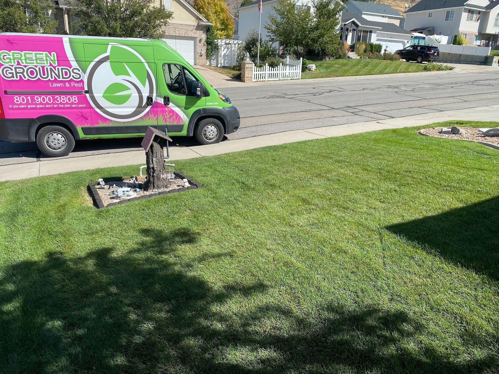 lawn care