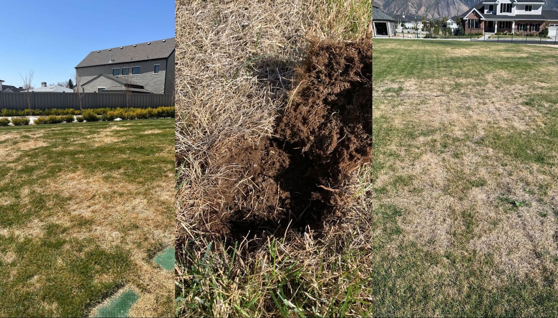 A before and after picture of a lawn with a house in the background.