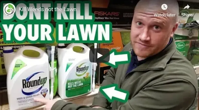 A man is standing in front of a shelf with bottles of roundup.