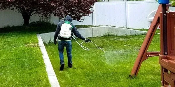 A man is spraying a lawn with a hose in a backyard.