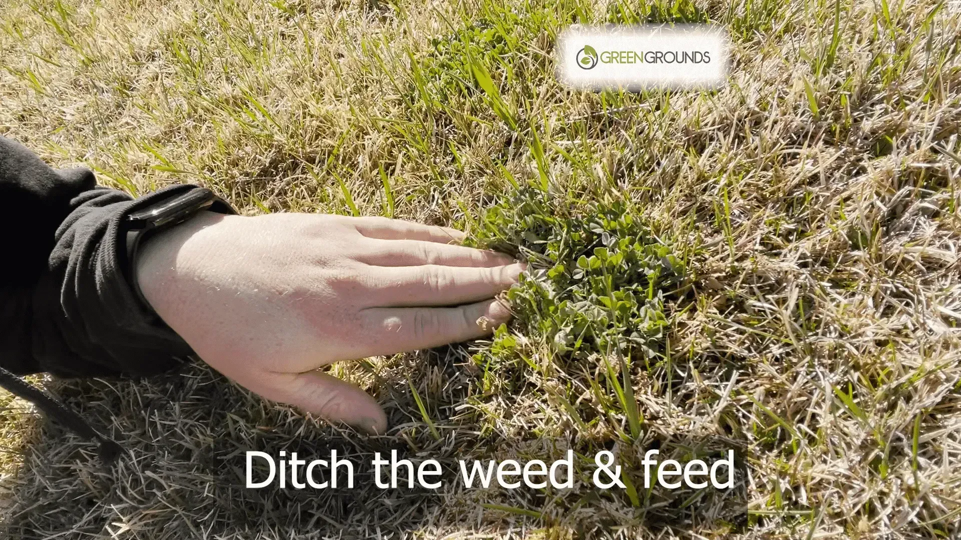 A person is touching a patch of grass with their hand.