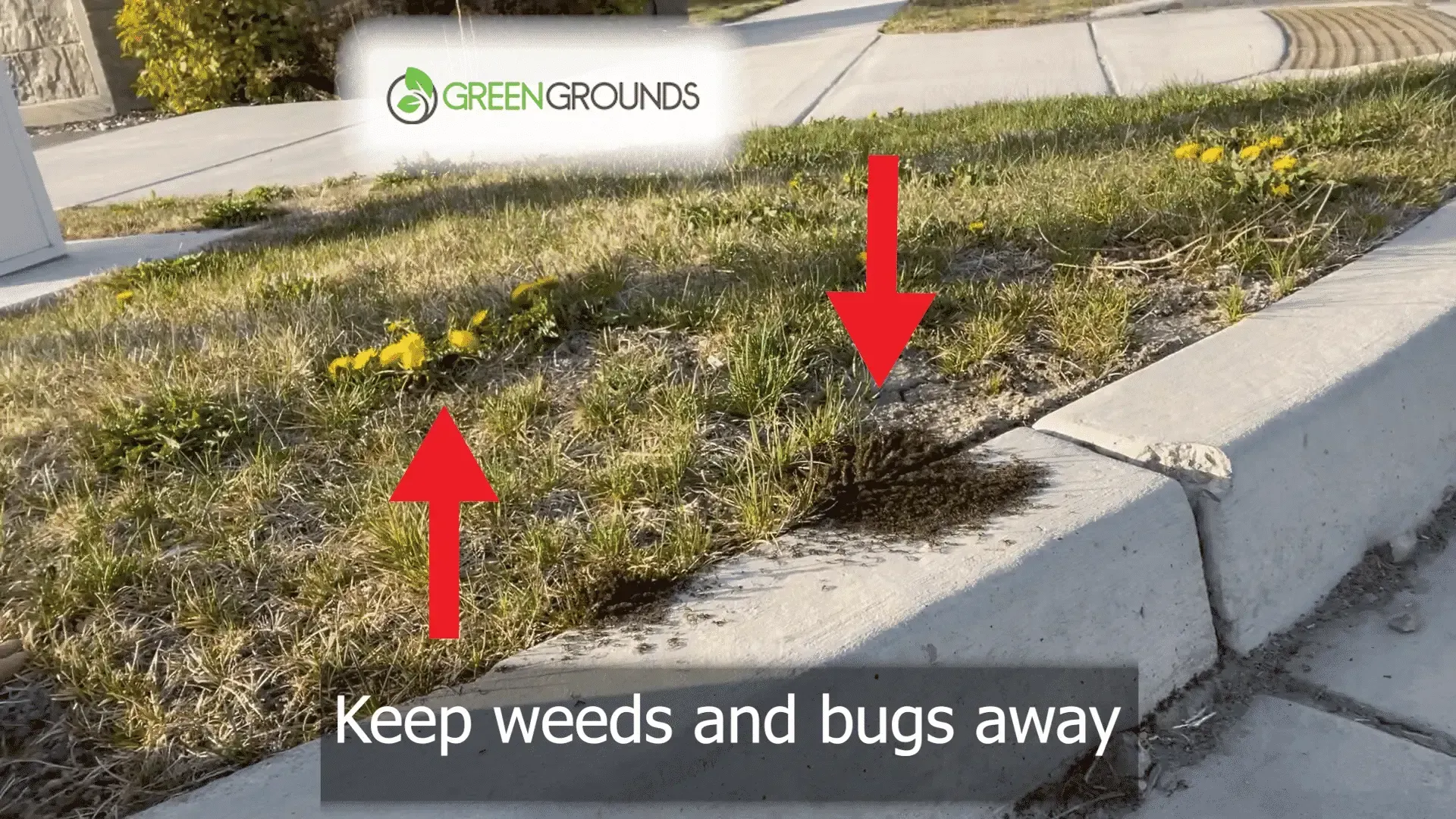 A picture of a lawn with arrows pointing up and down and the words `` keep weeds and bugs away ''.