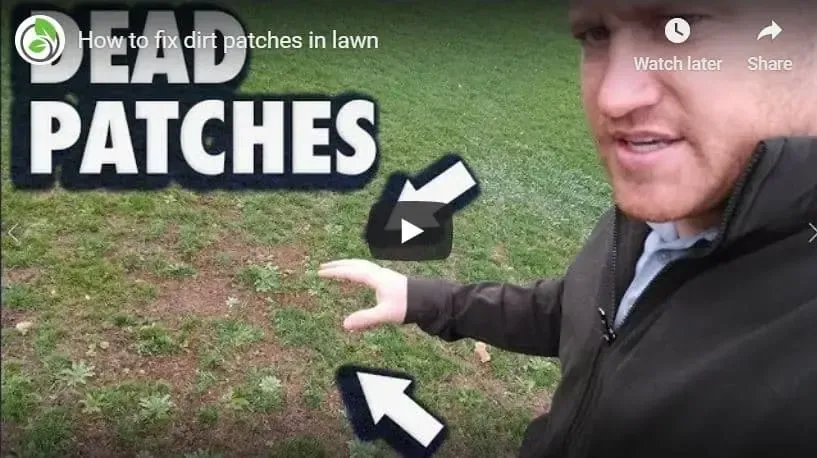 A man is pointing at a patch of grass in a video about how to fix dirt patches in lawn.