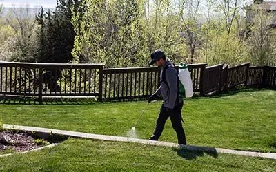 A man is spraying a lawn with a sprayer.