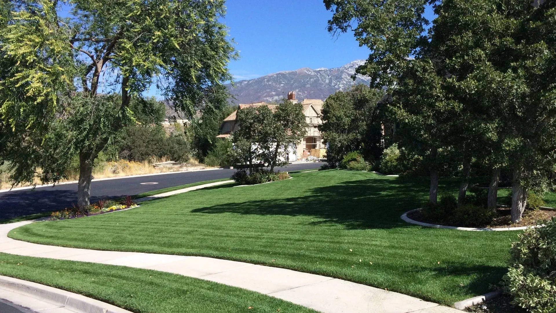 A lush green lawn with trees and a sidewalk in front of a house.