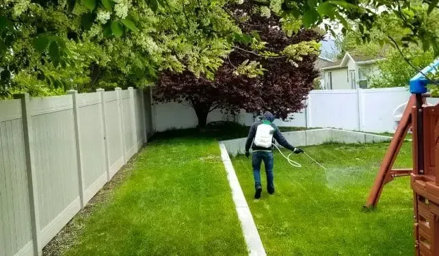 A man is spraying a lawn with a hose in a backyard.
