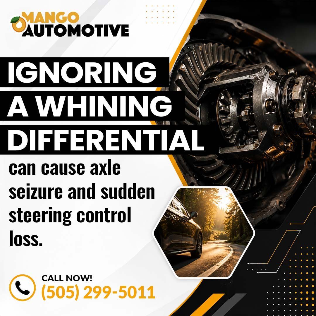 whining differential- Mango Automotive (The Heights)